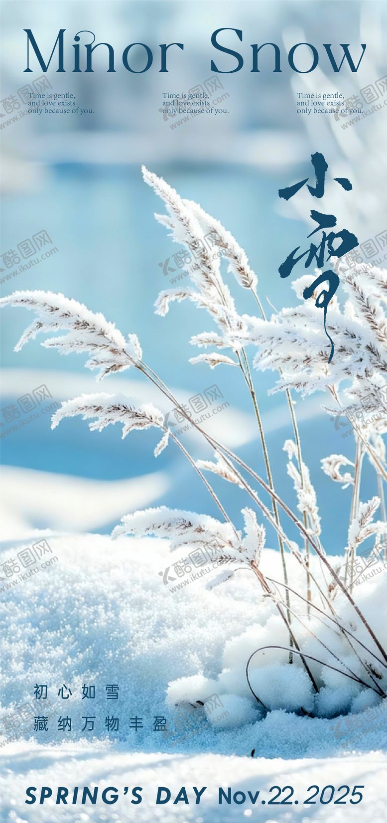编号：41073411220100498587【酷图网】源文件下载-小雪海报