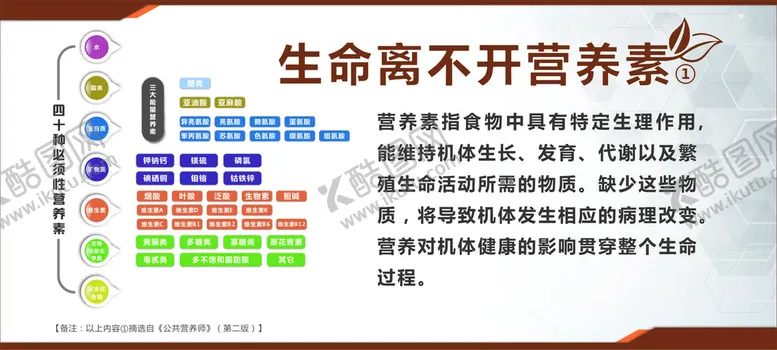 编号：99879801130024033397【酷图网】源文件下载-营养素分析图