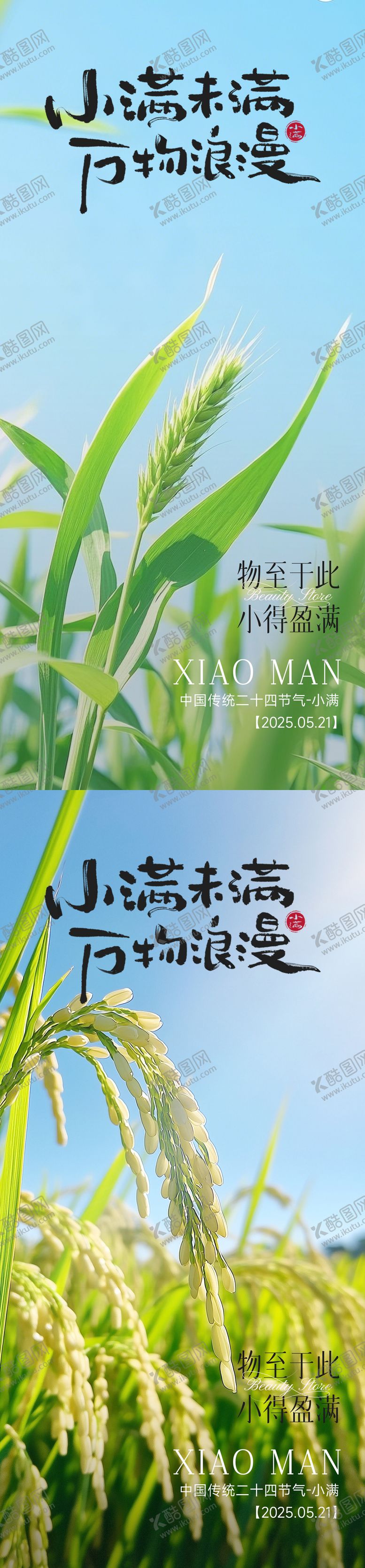 编号：22482605052316272418【酷图网】源文件下载-小满节气海报