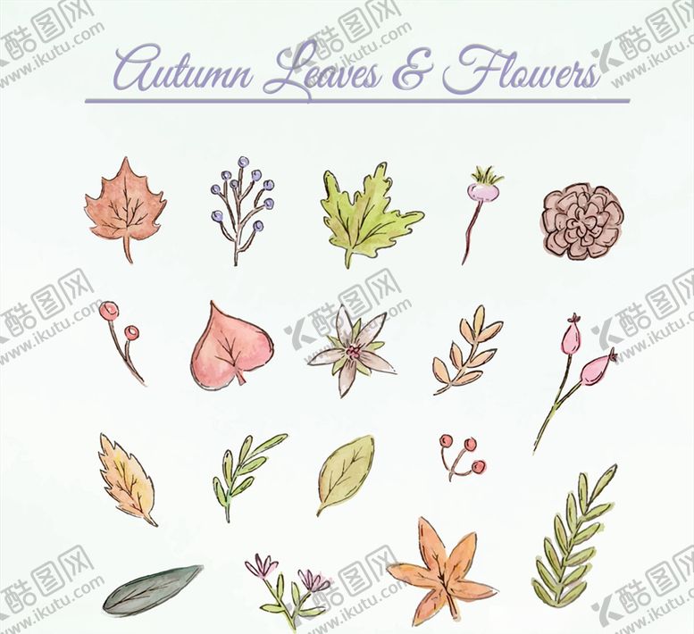 编号：28624909190113071022【酷图网】源文件下载-彩绘秋季叶子和花朵矢量素材