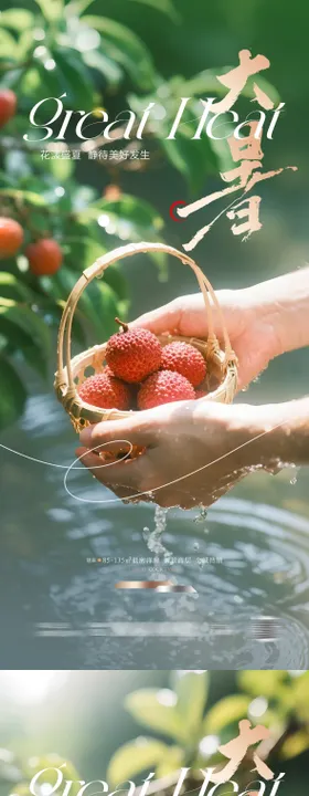 夏至荔枝节气海报