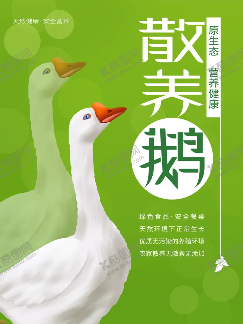 编号：31543610261906459549【酷图网】源文件下载-散养鹅