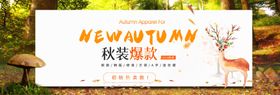 秋上新
