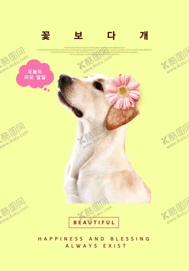 编号：46583010080845041994【酷图网】源文件下载-狗狗宠物促销海报