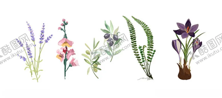 编号：18411501271659307626【酷图网】源文件下载-植物花草