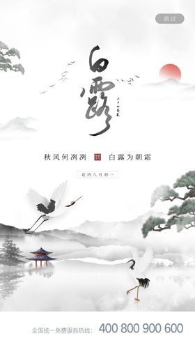 白露海报