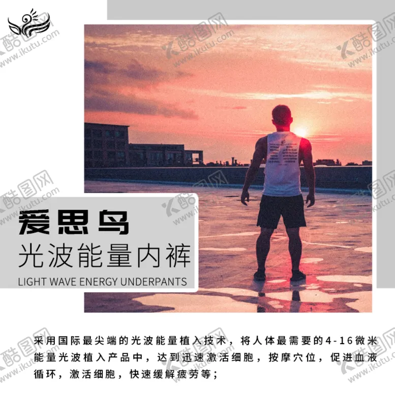 编号：15008005010048097624【酷图网】源文件下载-爱思鸟宣传画
