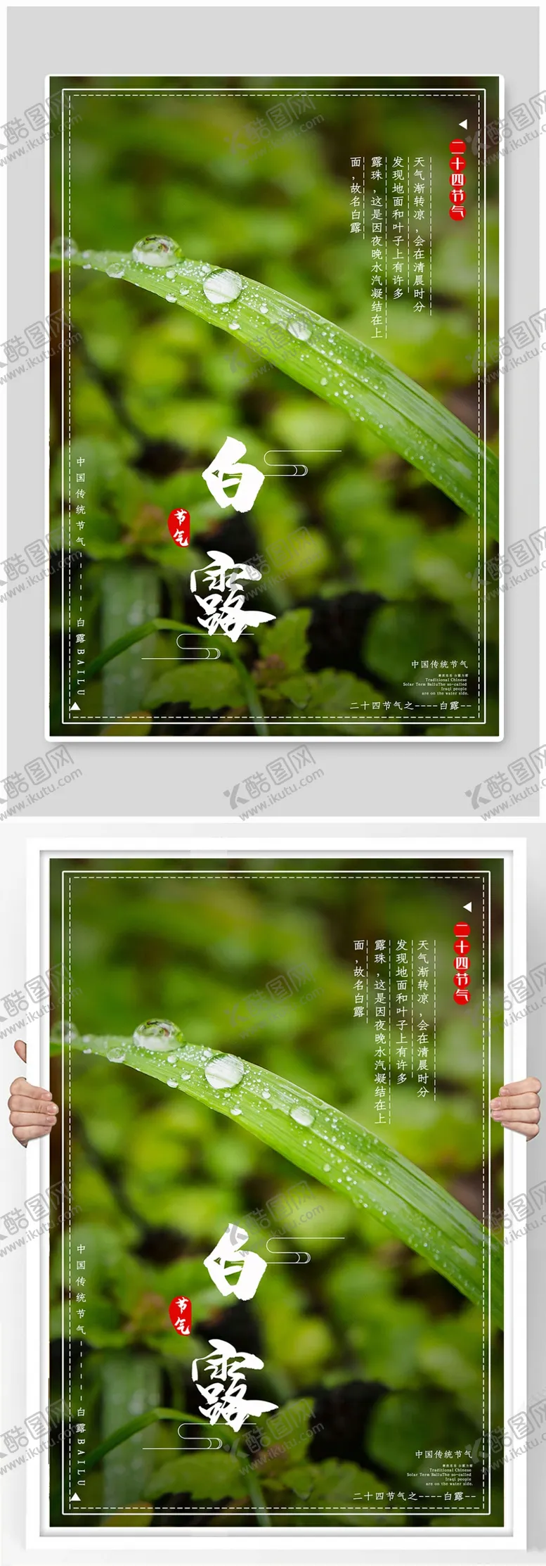 编号：67568807021114143321【酷图网】源文件下载-白露节气稿海报