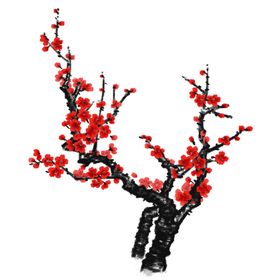 梅花素材