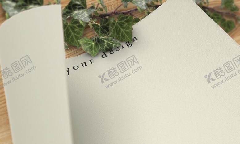 编号：76484002020511379401【酷图网】源文件下载-LOGO效果图样机  