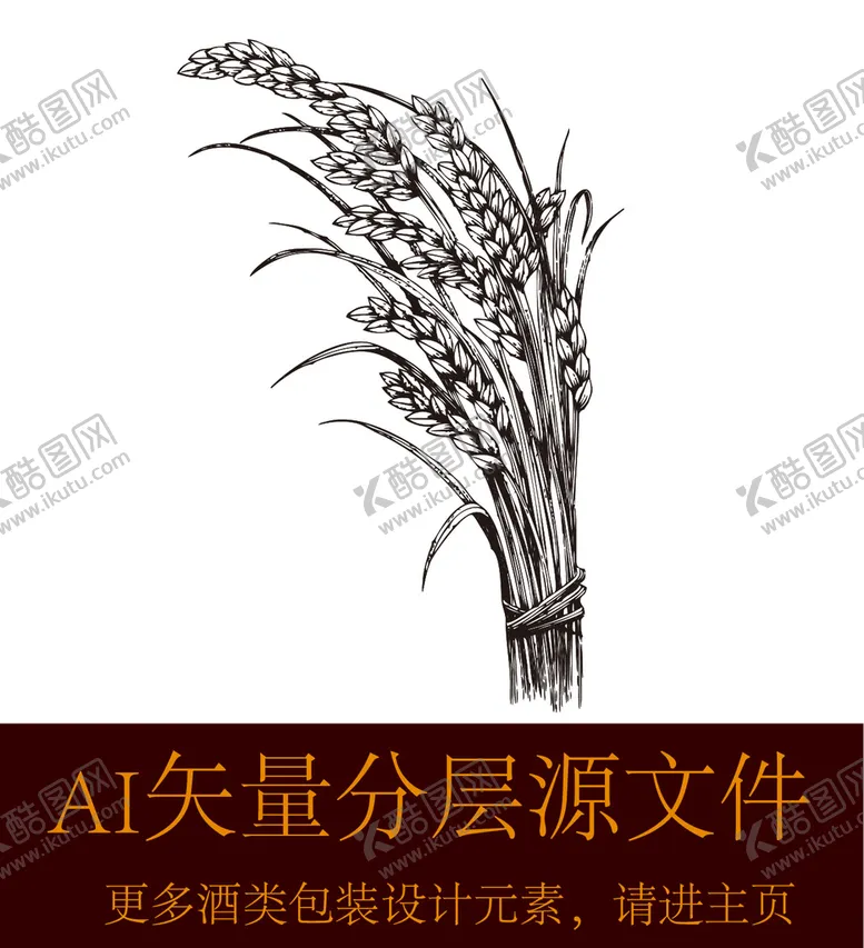 编号：06379509190525442670【酷图网】源文件下载-麦子稻穗小麦