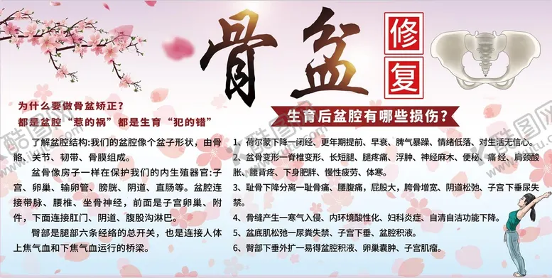编号：50439609180612088109【酷图网】源文件下载-骨盆修复 产后 养生 图片