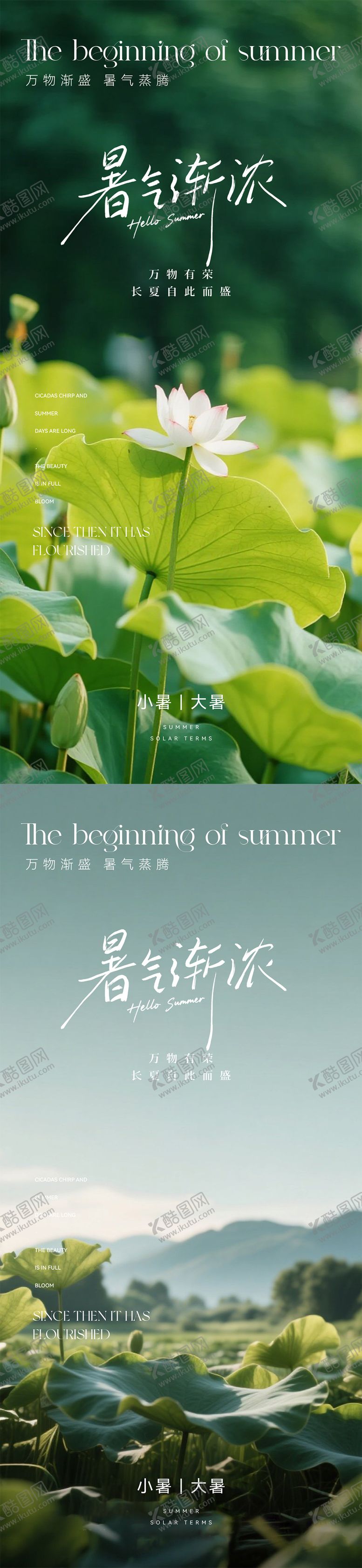 编号：77165607070931346905【酷图网】源文件下载-小暑大暑节气海报