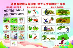 防火意识人人拥有预防森林火灾展板