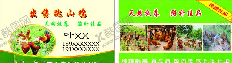 编号：86238807030140589596【酷图网】源文件下载-跑山鸡纯粮喂养真品质