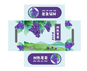 葡萄包装箱张开图