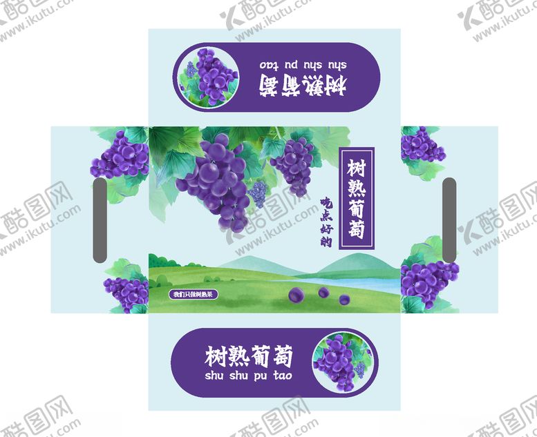 编号：68831505181254111821【酷图网】源文件下载-葡萄包装箱张开图