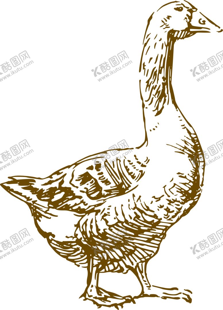 编号：32597504161701563937【酷图网】源文件下载-手绘动物