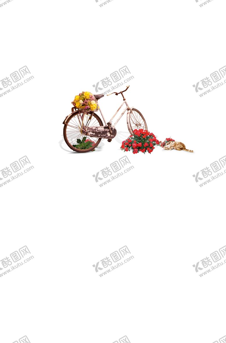编号：76731209231614512641【酷图网】源文件下载-自行车花丛
