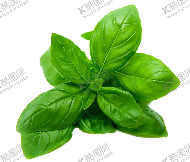 编号：98179710311624206933【酷图网】源文件下载-水果