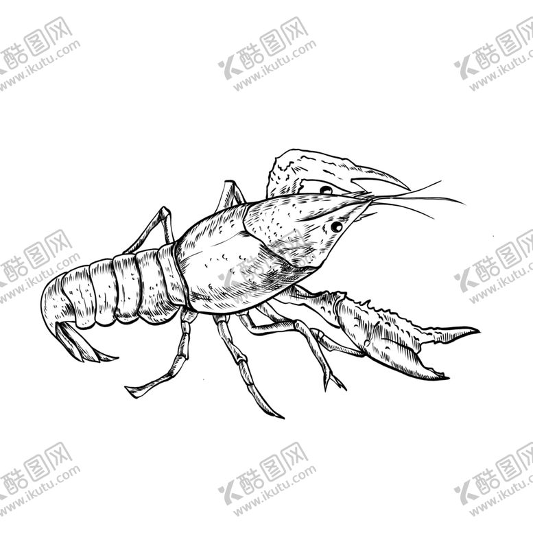 编号：66282809152358417921【酷图网】源文件下载-手绘食物线描食物食物线稿