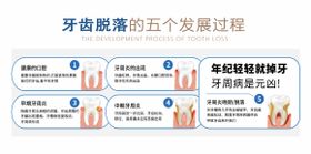 牙齿脱落的过程海报展板