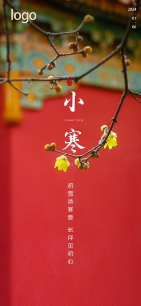 小寒节气海报日