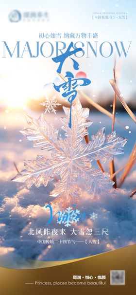 美业中国传统二十四节气大雪