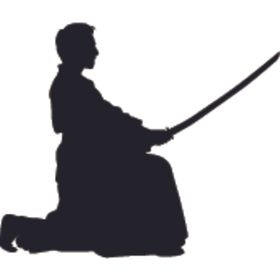 武术格斗剪影