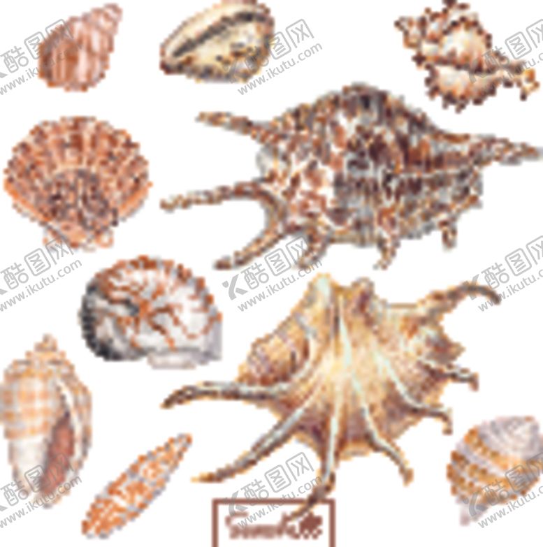 编号：97859210221343181681【酷图网】源文件下载-海螺贝壳