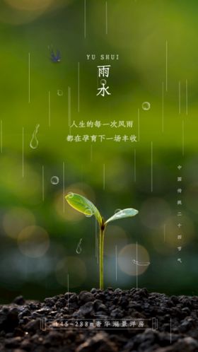 雨水