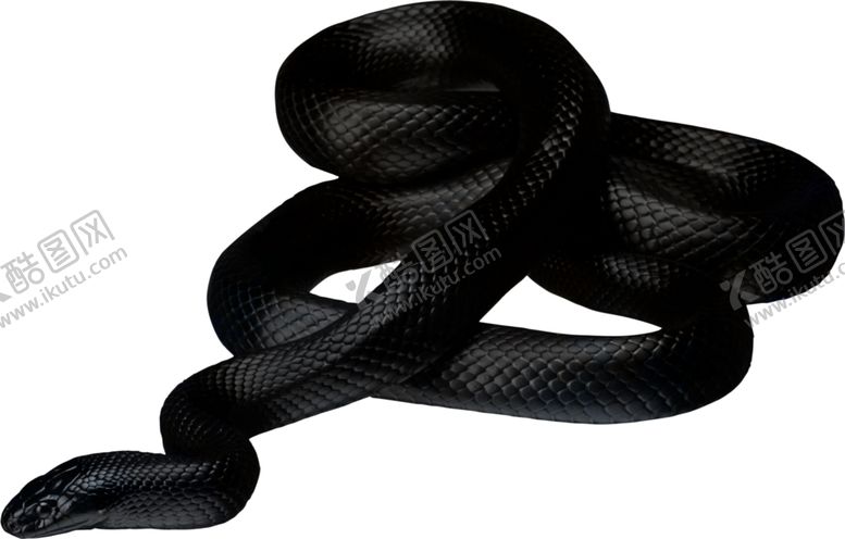 编号：74571307140026235307【酷图网】源文件下载-自然动物蛇图案