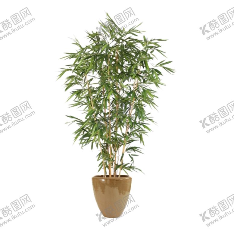 编号：43658209182015113160【酷图网】源文件下载-免抠背景花草树木