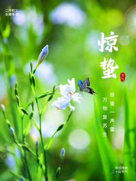 惊蛰微信插画广告地产单张
