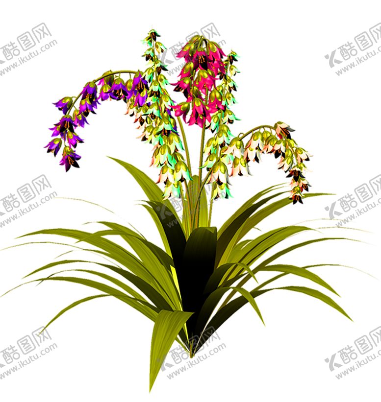 编号：64090509210953036156【酷图网】源文件下载-花素材