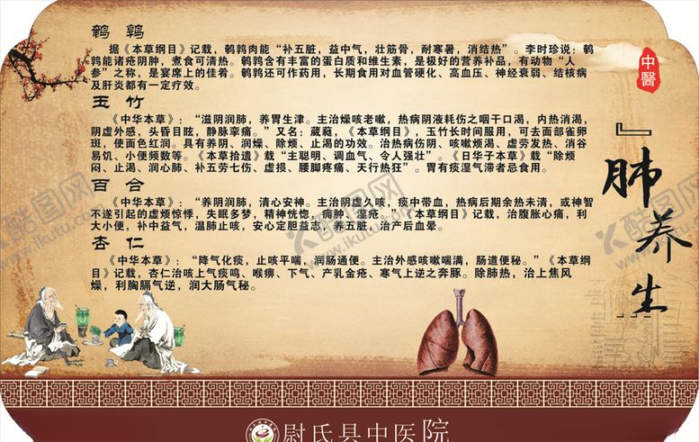 编号：49001905021302154363【酷图网】源文件下载-肺养生
