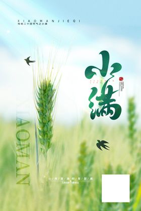 绿色简约24节气小满手机海报