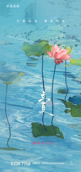 立夏节气海报
