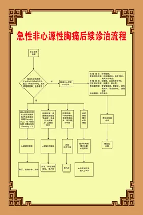 急性非心源性胸痛后续诊治流程