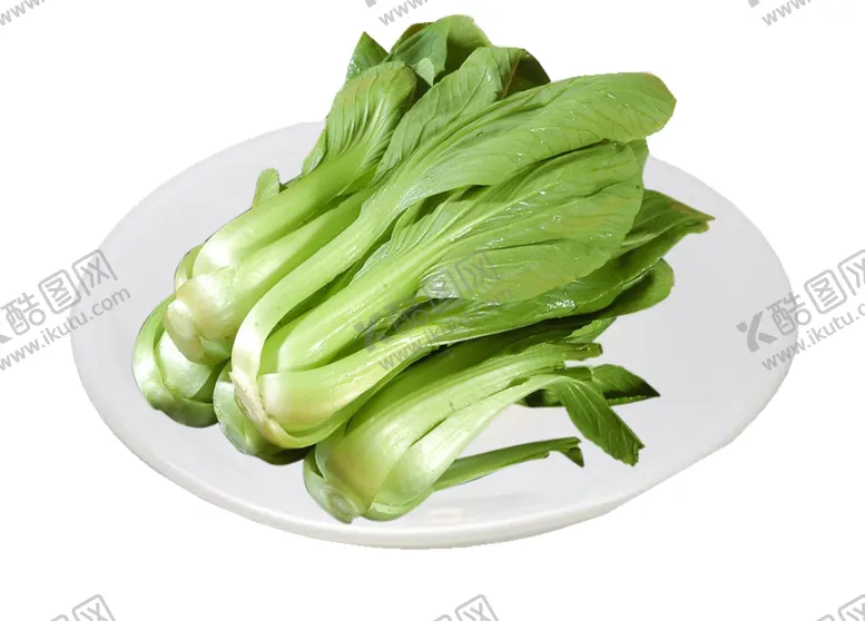 编号：26821704300106136744【酷图网】源文件下载-小白菜