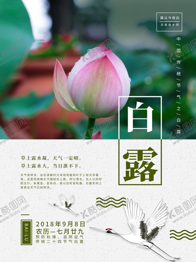 编号：20627707071544108817【酷图网】源文件下载-白露海报