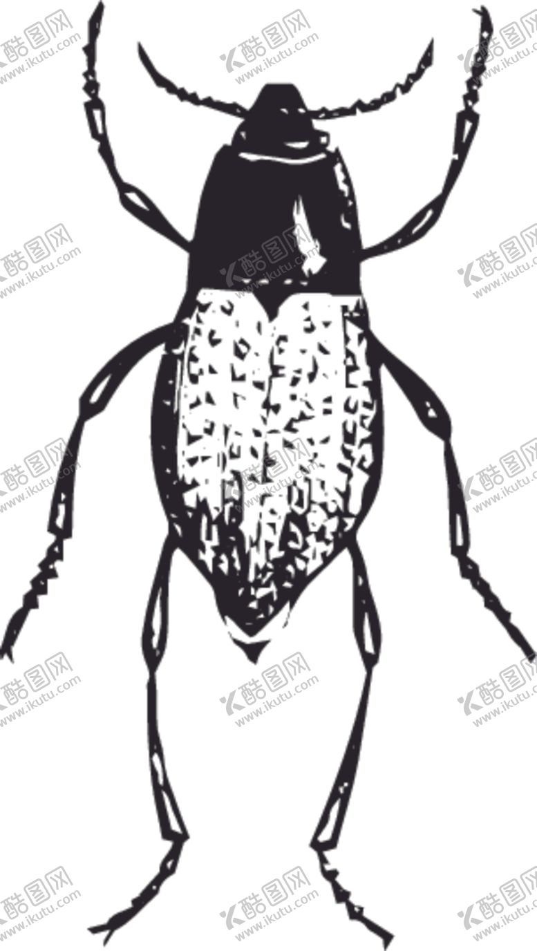 编号：80139809090235474734【酷图网】源文件下载-自然昆虫标本插画