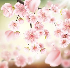 花卉背景
