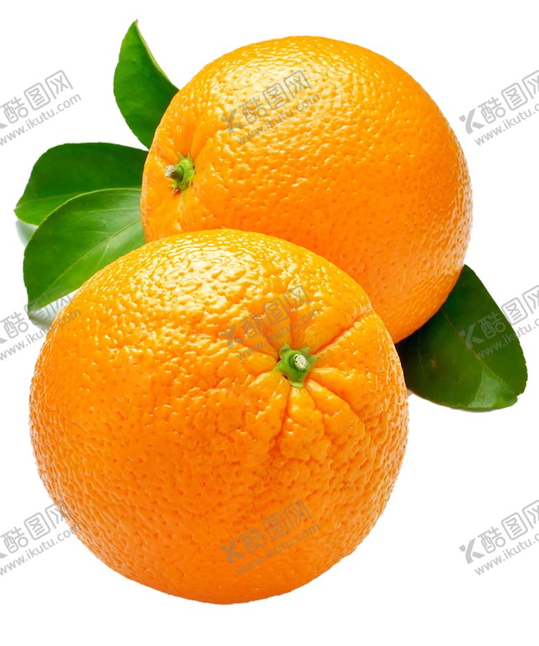 编号：71175010172212049809【酷图网】源文件下载-桔子