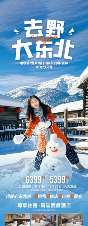 去野大东北冬季旅游海报