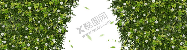 编号：93448410120635472186【酷图网】源文件下载-绿色背景