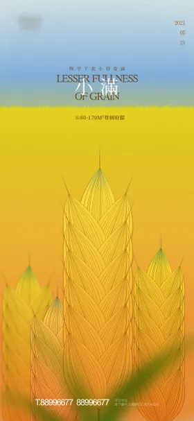 小满节气海报插画麦二十四房地产