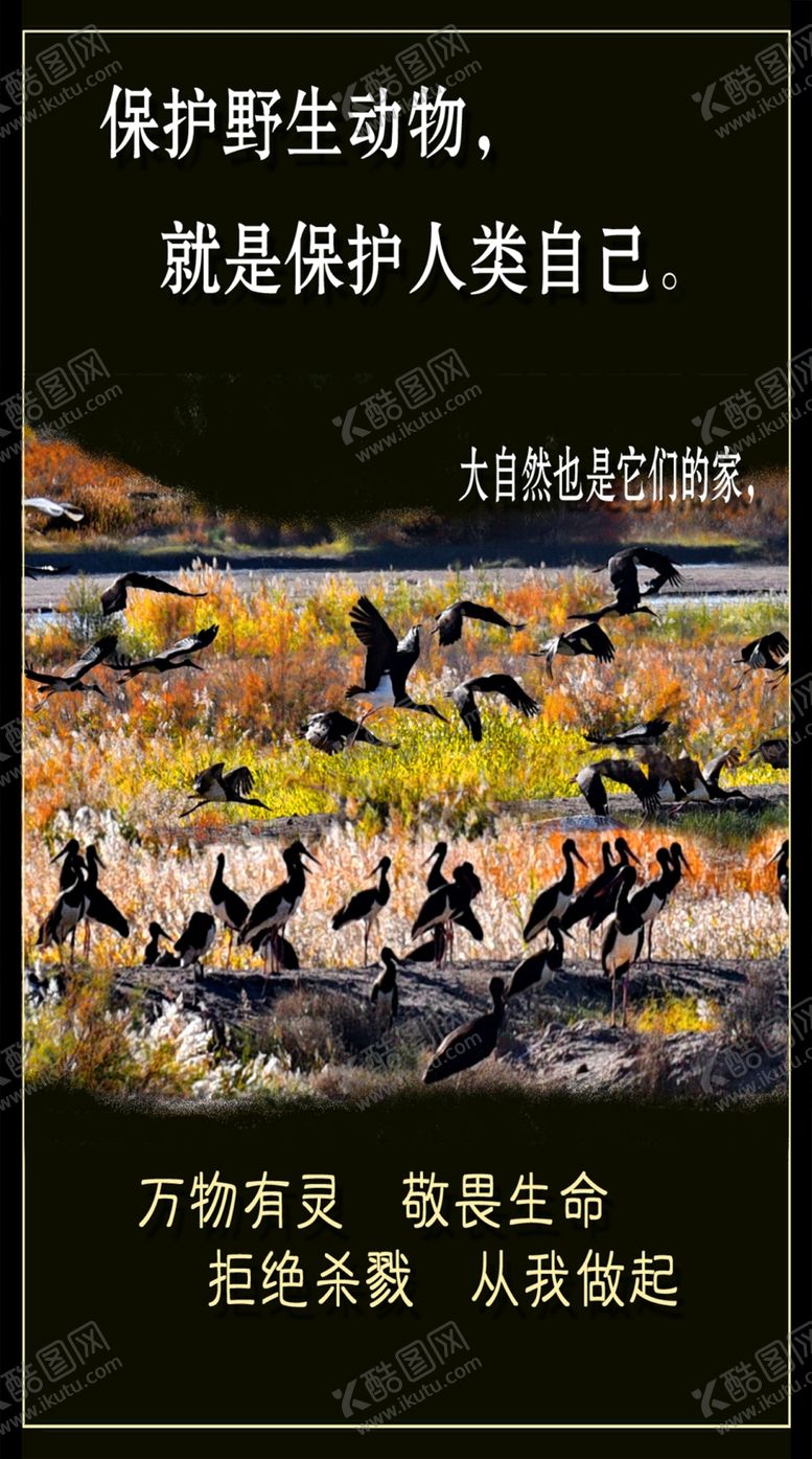 编号：14644007081400133153【酷图网】源文件下载-野生动物宣传图片