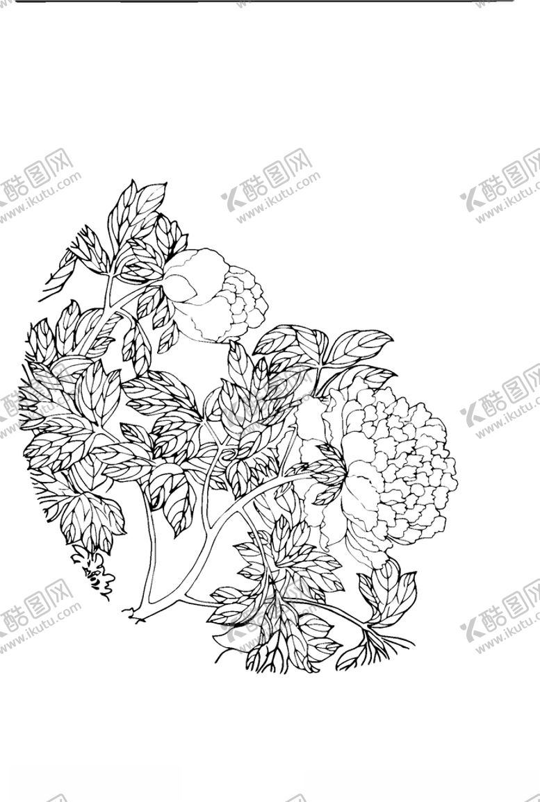 编号：21088307031455528356【酷图网】源文件下载-圆形牡丹花