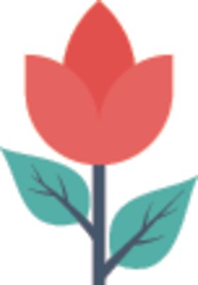 鲜花